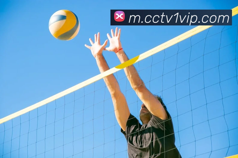球赛直播平台服务体系